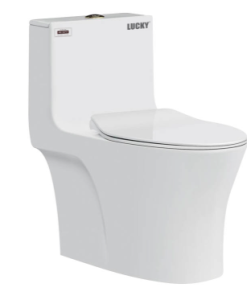 Bàn cầu khối Lucky AD-2080