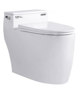 Bàn Cầu Lucky AD-2089S